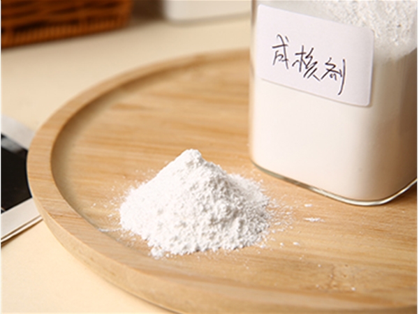 PBT/PET成核剂